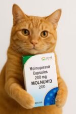 Molnu(Colombia) - Image 2