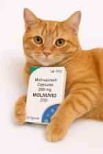 Molnu(Colombia) - Image 3